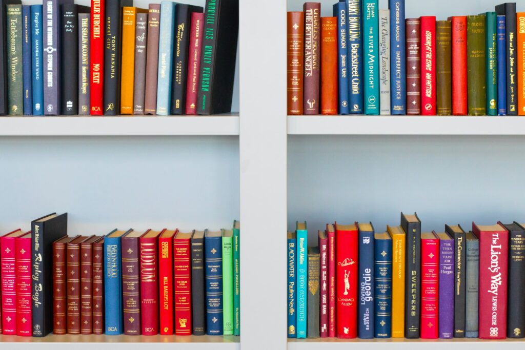 bookcase with books